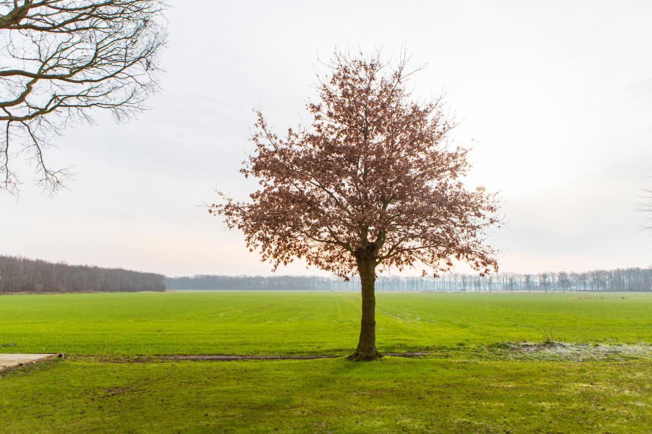 Landelijk appartement Friesland Harich Buitenkant foto